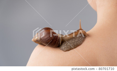 Close-up of a snail crawling of a woman's shoulder. Skin care 80701710