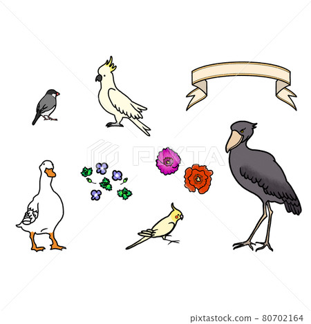 Illustrations of various birds 80702164