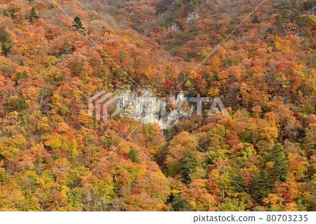 Karataki, Kuriyama Village, Tochigi Prefecture 80703235