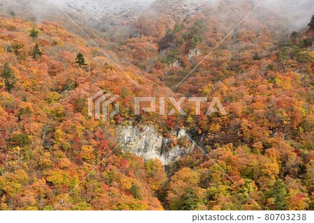 Karataki, Kuriyama Village, Tochigi Prefecture Karataki, Kuriyama Village, Tochigi Prefecture 80703238