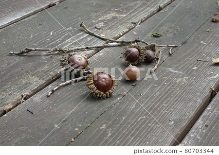 Acorn Acorn 80703344