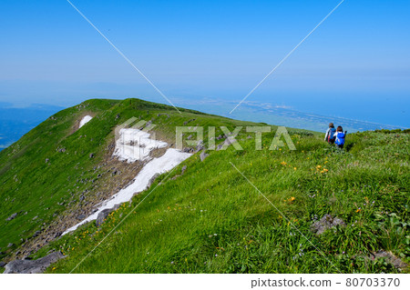 Mt. Chokai (Mt. Shogatake), a flower field above the clouds where alpine plants are in full bloom 80703370
