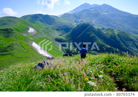 Mt. Chokai (Mt. Shogatake), a flower field above the clouds where alpine plants are in full bloom Mt. Chokai (Mt. Shogatake), a flower field above the clouds where alpine plants are in full bloom 80703374