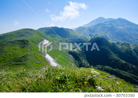 高山植物盛開的雲上花田鳥海山 80703380