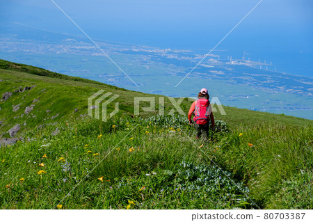 高山植物盛開的雲上花田鳥海山 高山植物盛開的雲上花田鳥海山 80703387