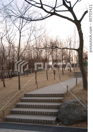 仙遊島公園 仙遊島公園 80703421