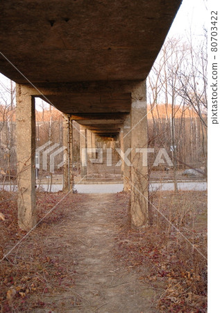 仙遊島公園 仙遊島公園 80703422