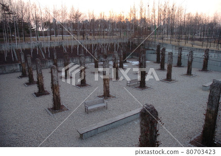 仙遊島公園 仙遊島公園 80703423