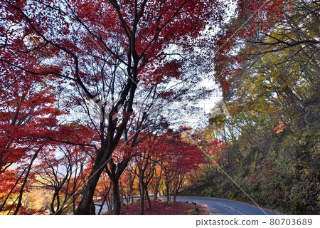 Sun salt mimiji line 80703689