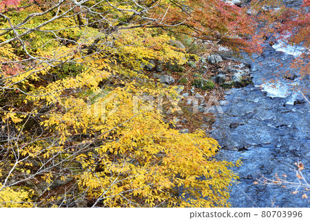 Oashi Valley, Kanuma, Tochigi Prefecture 80703996