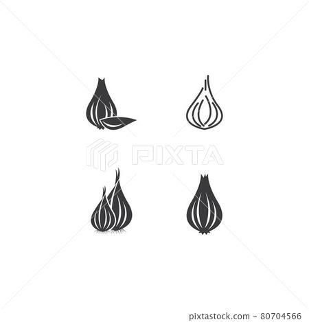 Garlic illustration logo icon vector Garlic illustration logo icon vector 80704566