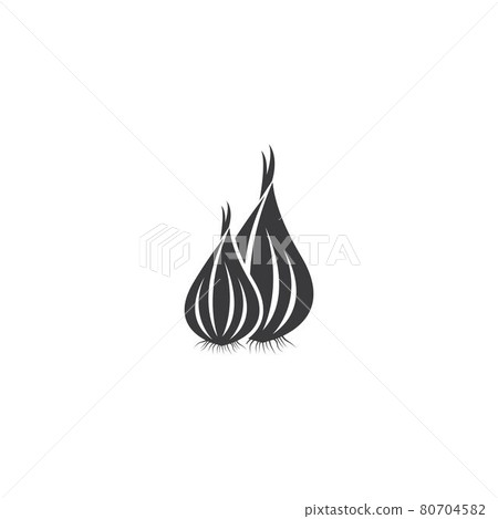 Garlic illustration logo icon vector Garlic illustration logo icon vector 80704582