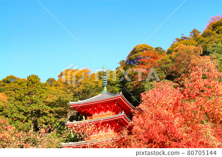 岐阜市三岐塔岐阜市風景 岐阜市三岐塔岐阜市風景 80705144