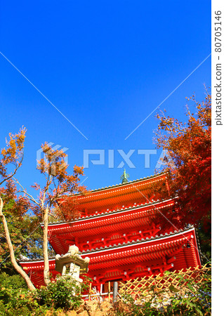 Gifu City, Gifu Park Three-Story Pagoda Scenery 80705146