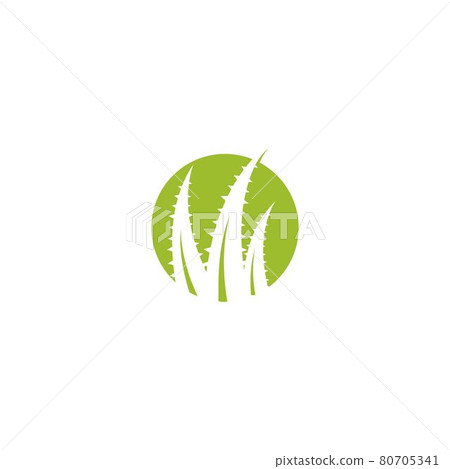 Aloe vera logo 80705341