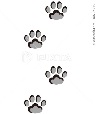 Animal footprints Cat footprints 80705749