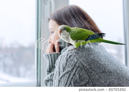 Winter, home lifestyle, woman and parrot looking together through the snowy window Winter, home lifestyle, woman and parrot looking together through the snowy window 80705892