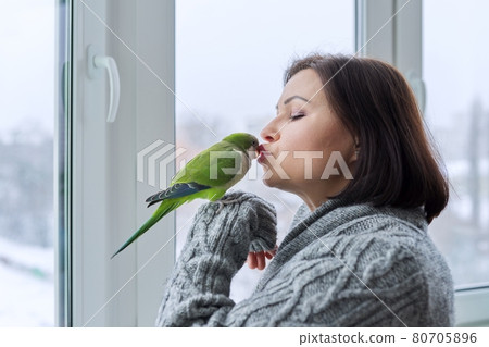 Middle aged woman and parrot together, female bird owner talking kissing green quaker pet Middle aged woman and parrot together, female bird owner talking kissing green quaker pet 80705896