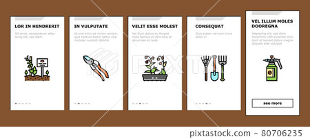Gardening Equipment Onboarding Icons Set Vector Gardening Equipment Onboarding Icons Set Vector 80706235