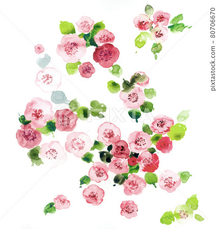 色彩豐富的花卉素材組合和設計元素 色彩豐富的花卉素材組合和設計元素 80706670