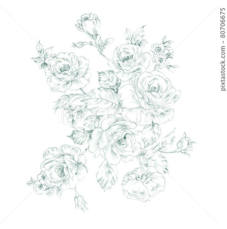 色彩豐富的花卉素材組合和設計元素 色彩豐富的花卉素材組合和設計元素 80706675