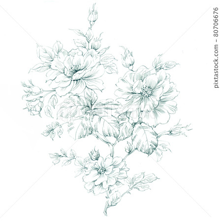 色彩豐富的花卉素材組合和設計元素 色彩豐富的花卉素材組合和設計元素 80706676