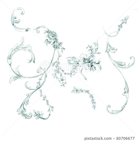 色彩豐富的花卉素材組合和設計元素 色彩豐富的花卉素材組合和設計元素 80706677
