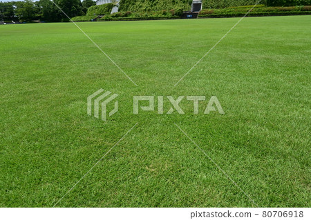 Lawn square and green Lawn square and green 80706918