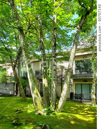 綠色庭院 80707148