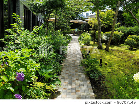 A garden trail 80707149