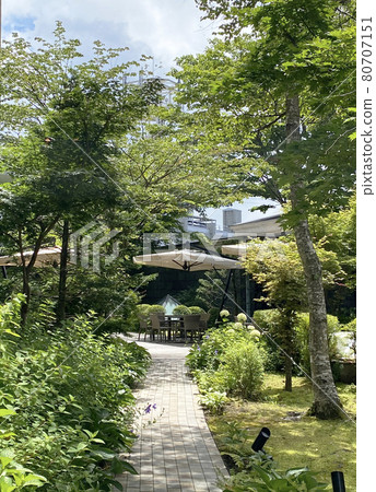 Courtyard path 80707151