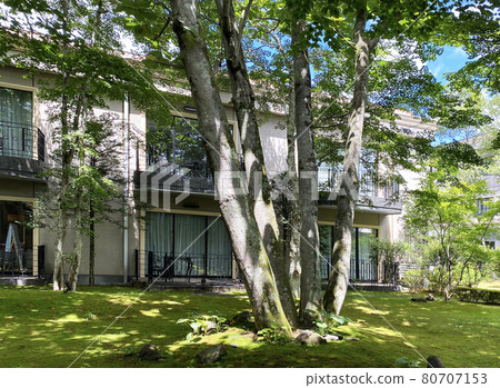 Green courtyard 80707153