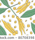 Kaempferia hand drawn seamless pattern. 80708398