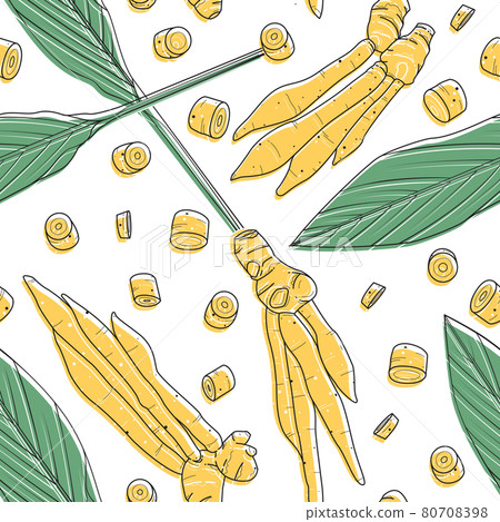 Kaempferia hand drawn seamless pattern. 80708398
