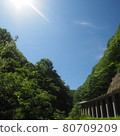 Blue sky, fresh green and tunnel 80709209