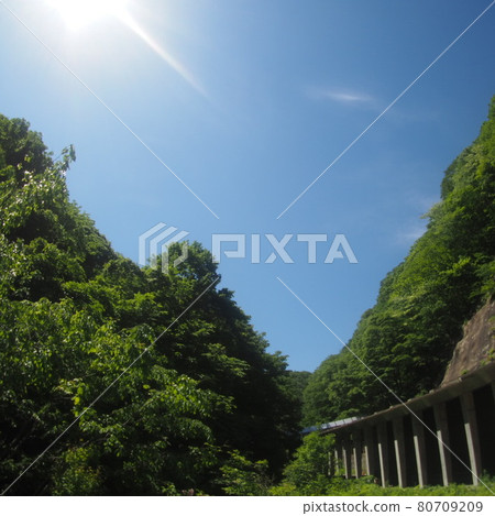 藍天、新綠和隧道 藍天、新綠和隧道 80709209