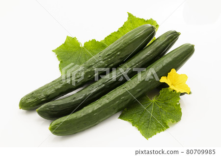 白色背景上有葉子和花的黃瓜 白色背景上有葉子和花的黃瓜 80709985