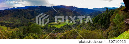 Beautiful panoramic view of the Cocora Valley at the Quindio region in Colombia 80710013