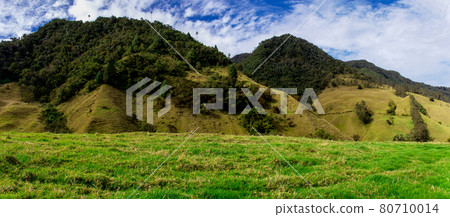 Beautiful panoramic view of the Cocora Valley at the Quindio region in Colombia 80710014