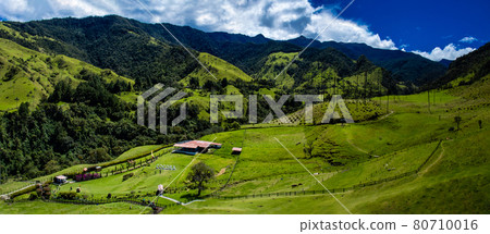 Beautiful panoramic view of the Cocora Valley at the Quindio region in Colombia 80710016