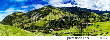 Beautiful panoramic view of the Cocora Valley at the Quindio region in Colombia 80710017