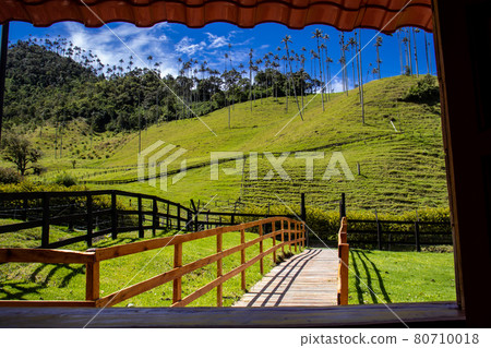 The beautiful Cocora Valley at the Quindio region in Colombia seen through the window 80710018