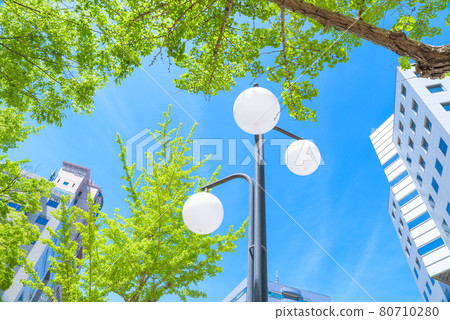 福岡市佐原區百道浜附近仰望的風景 80710280
