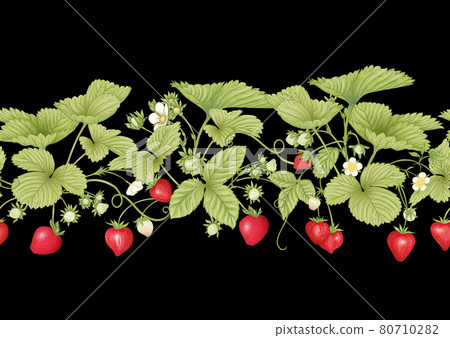 Strawberry. Ripe berries. Seamless pattern Strawberry. Ripe berries. Seamless pattern 80710282