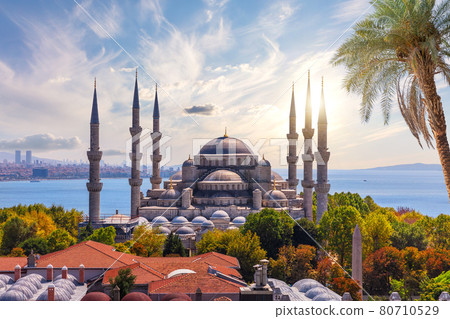 View on the Blue Mosque and roofs of Sultanahmet district, Fatih, Istanbul, Turkey View on the Blue Mosque and roofs of Sultanahmet district, Fatih, Istanbul, Turkey 80710529