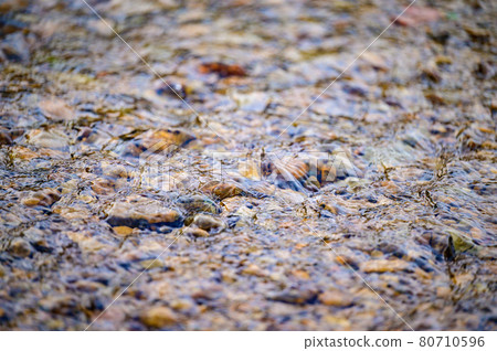 The soil is covered with spring frost, the ground wakes up after winter, cracked soil and spring mornings. The soil is covered with spring frost, the ground wakes up after winter, cracked soil and spring mornings. 80710596
