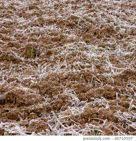The soil is covered with spring frost, the ground wakes up after winter, cracked soil and spring mornings. The soil is covered with spring frost, the ground wakes up after winter, cracked soil and spring mornings. 80710597