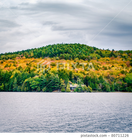 Fall day in Acadia 80711226