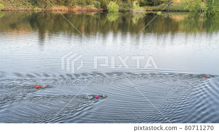 open water swimmers with swim buoys 80711270