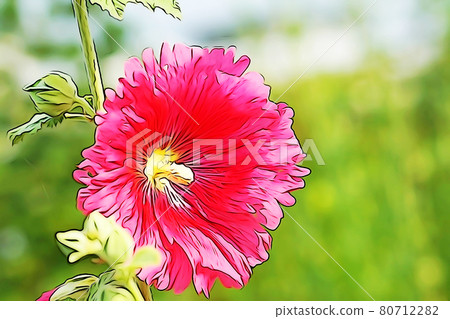 粉彩風格的“蜀葵”插圖圖像 80712282
